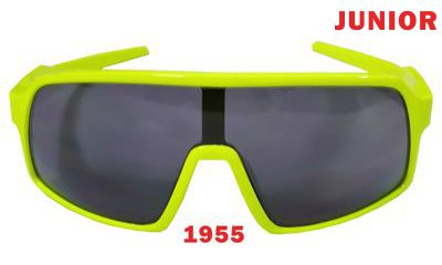 1955