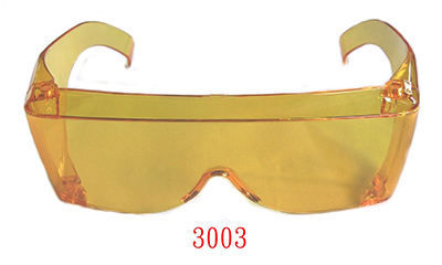 3003
