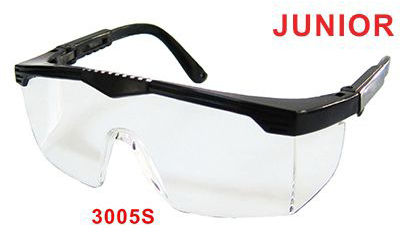 3005S