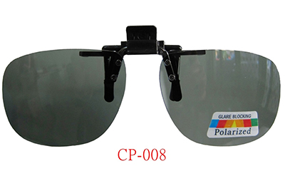 CP-008